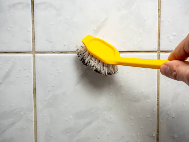 Best Black Mold Removal  in Sterling Heights, MI