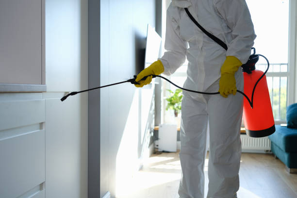 Trusted Sterling Heights, MI Mold Removal Experts